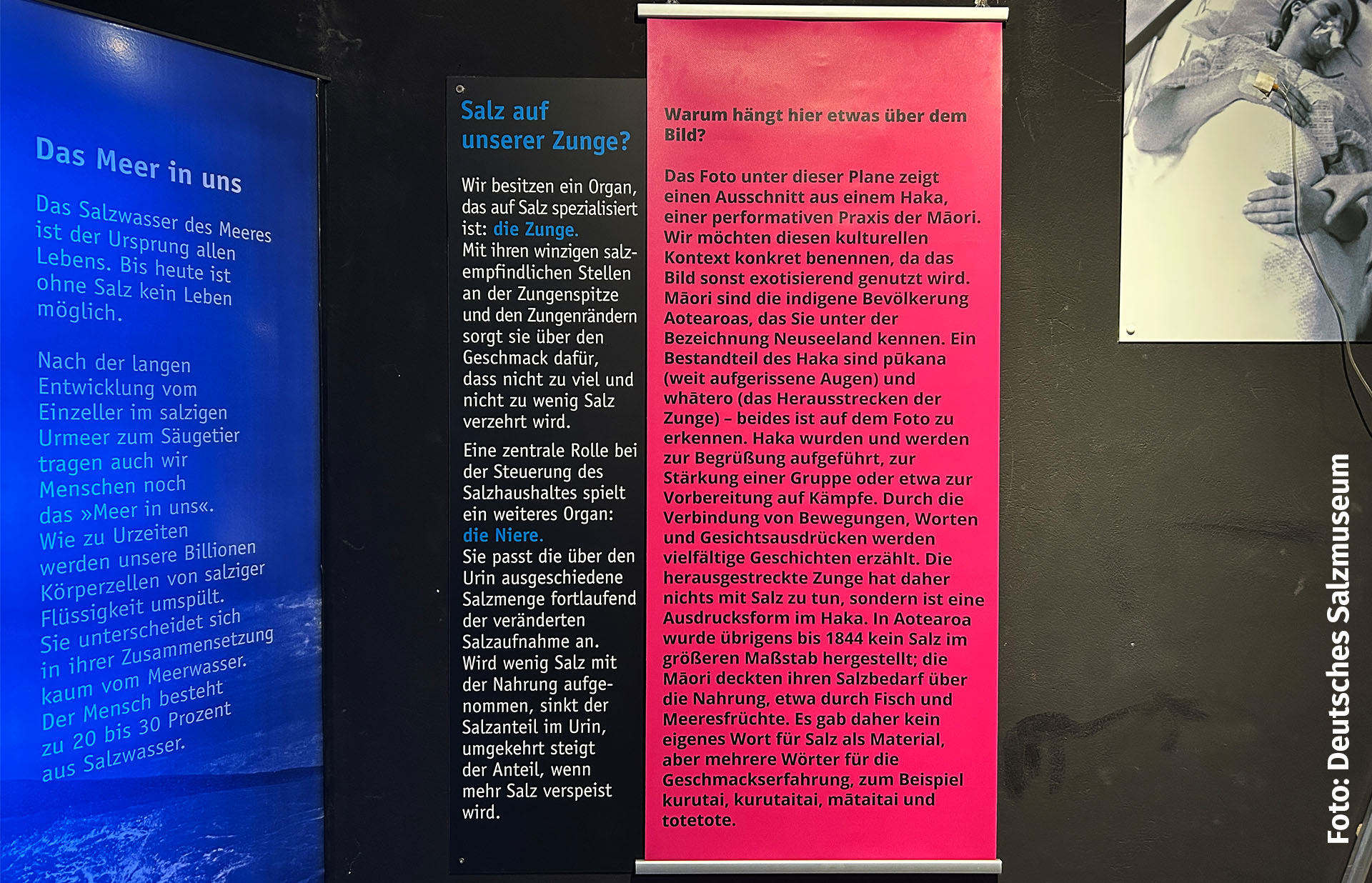 Bildtafel in der Ausstellung, die mit einer kontextualisierenden Texttafel in Pink verhängt wurde.